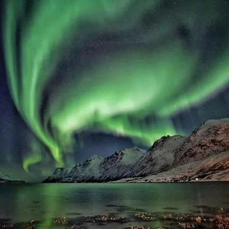 Spacious Modern Apartment, Close To Nature