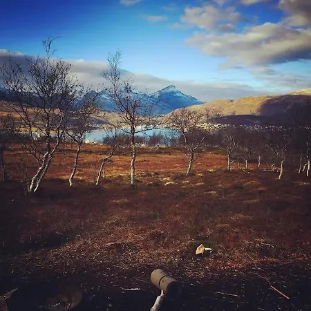 Spacious Modern Apartment, Close To Nature *