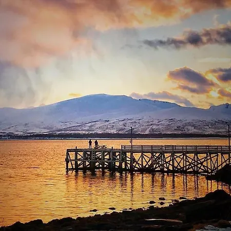 Spacious Modern Apartment, Close To Nature