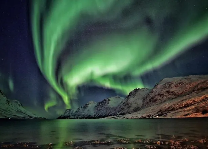 Spacious Modern Apartment, Close To Nature